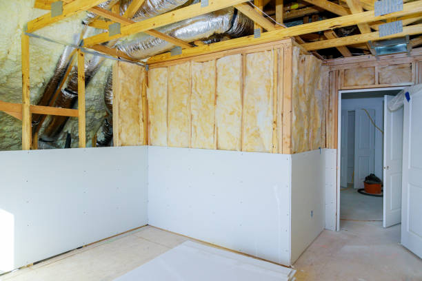 Best Insulation Maintenance and Repair in Marfa, TX